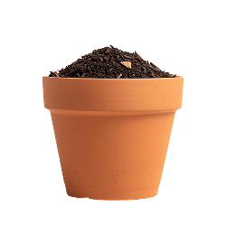 Potting Soil & Mix Shopping