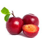 Apricot & Plums Shopping