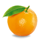 Citrus Fruits Shopping