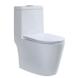 Floor Mounted WC Shopping