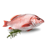 Fish Shopping