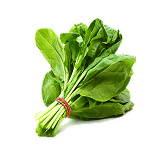 Fresh Herbs Shopping