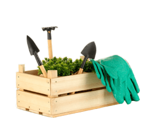 Gardening Tools Shopping