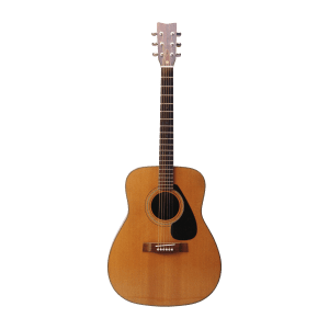 Guitars & Strings Shopping