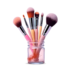 Makeup Brushes Shopping