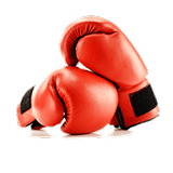 Martial Art & Boxing Shopping