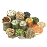 Other Pulses Shopping