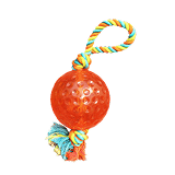 Pet Accessories & Toys Shopping