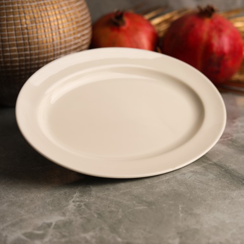 Oval Plate 24Cm