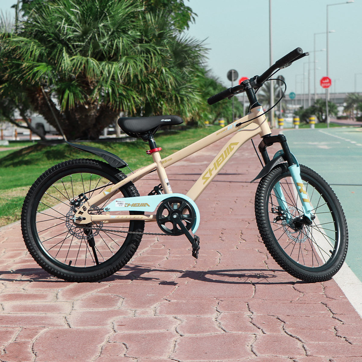 20-Inch Steel Frame Kids Bicycle - MOLUN-1048