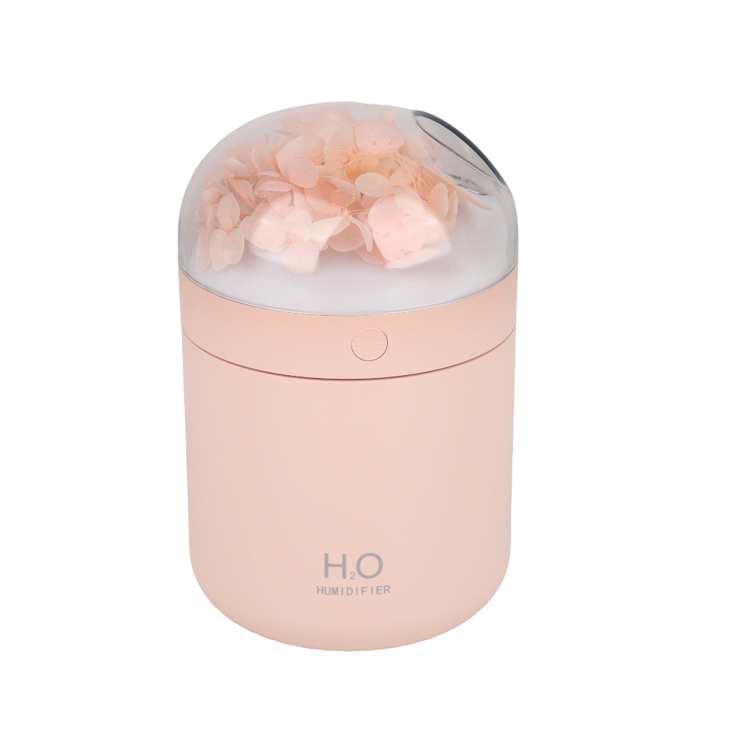 Humidifier
