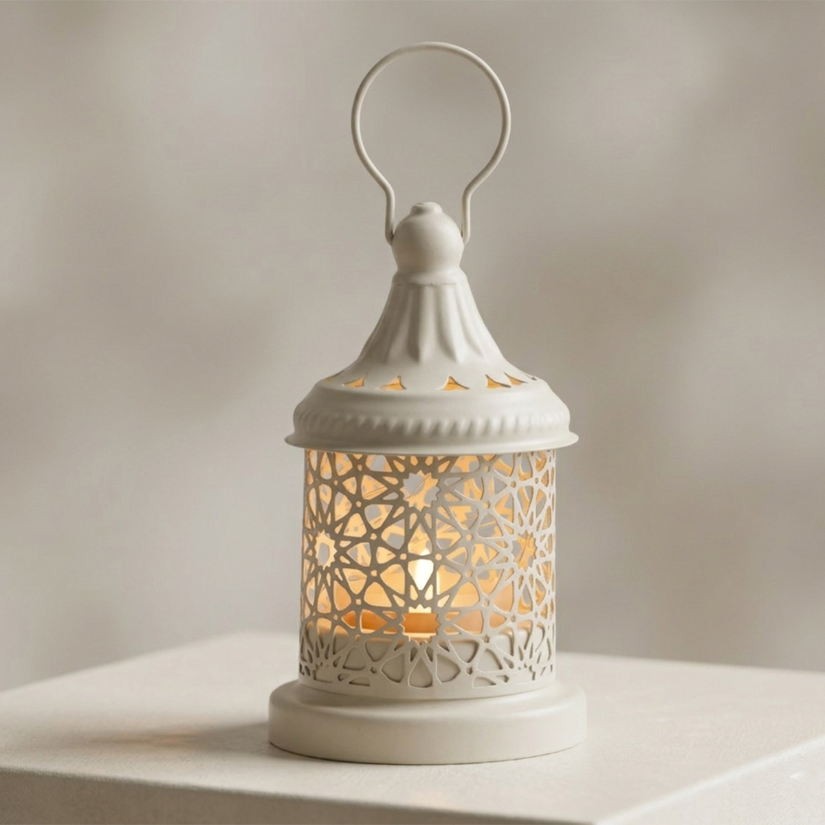 Metal Fanus With Light 9261