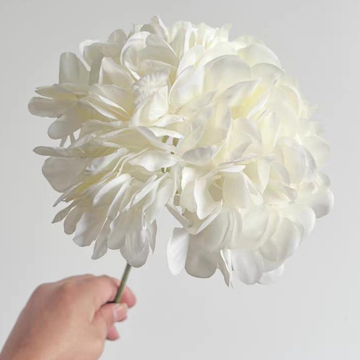 Single Flower