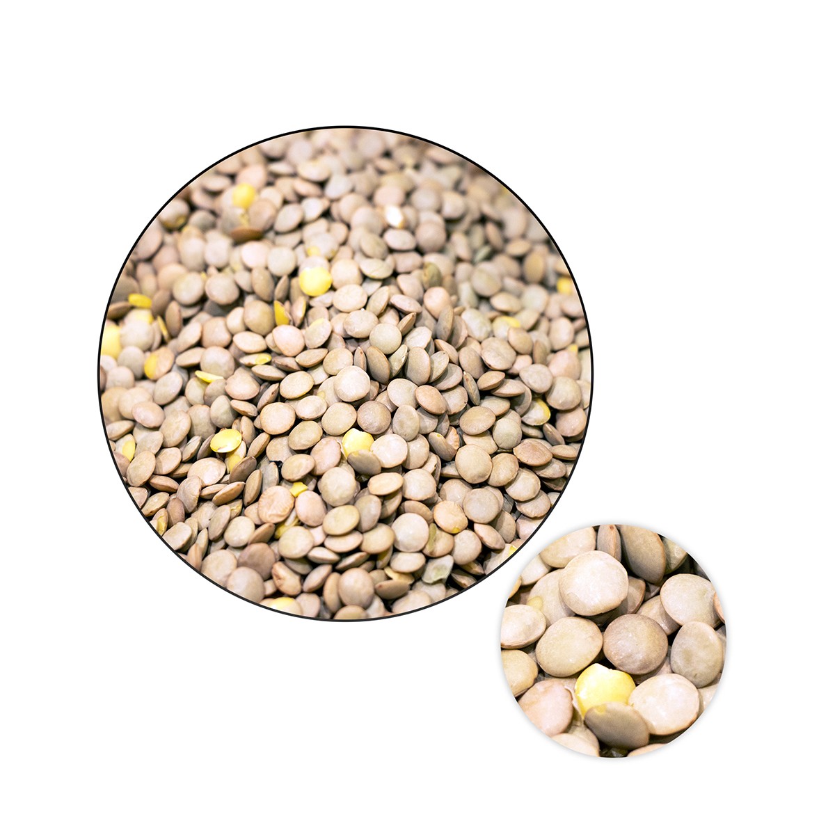 Green Lentil