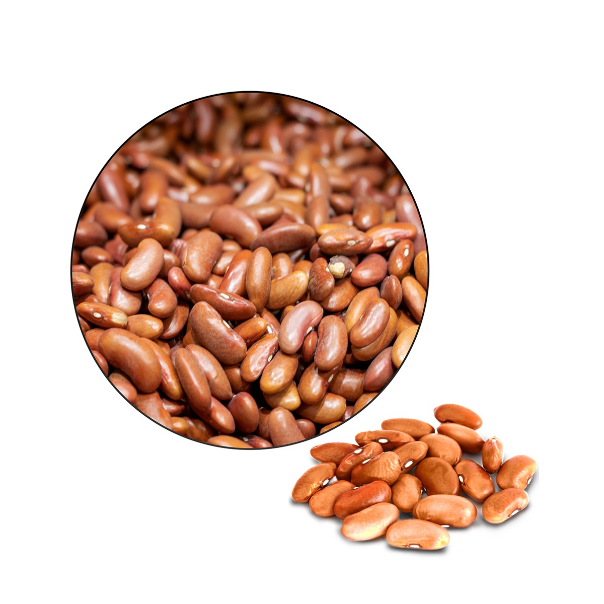 Beans Kidney Red China-Lentils