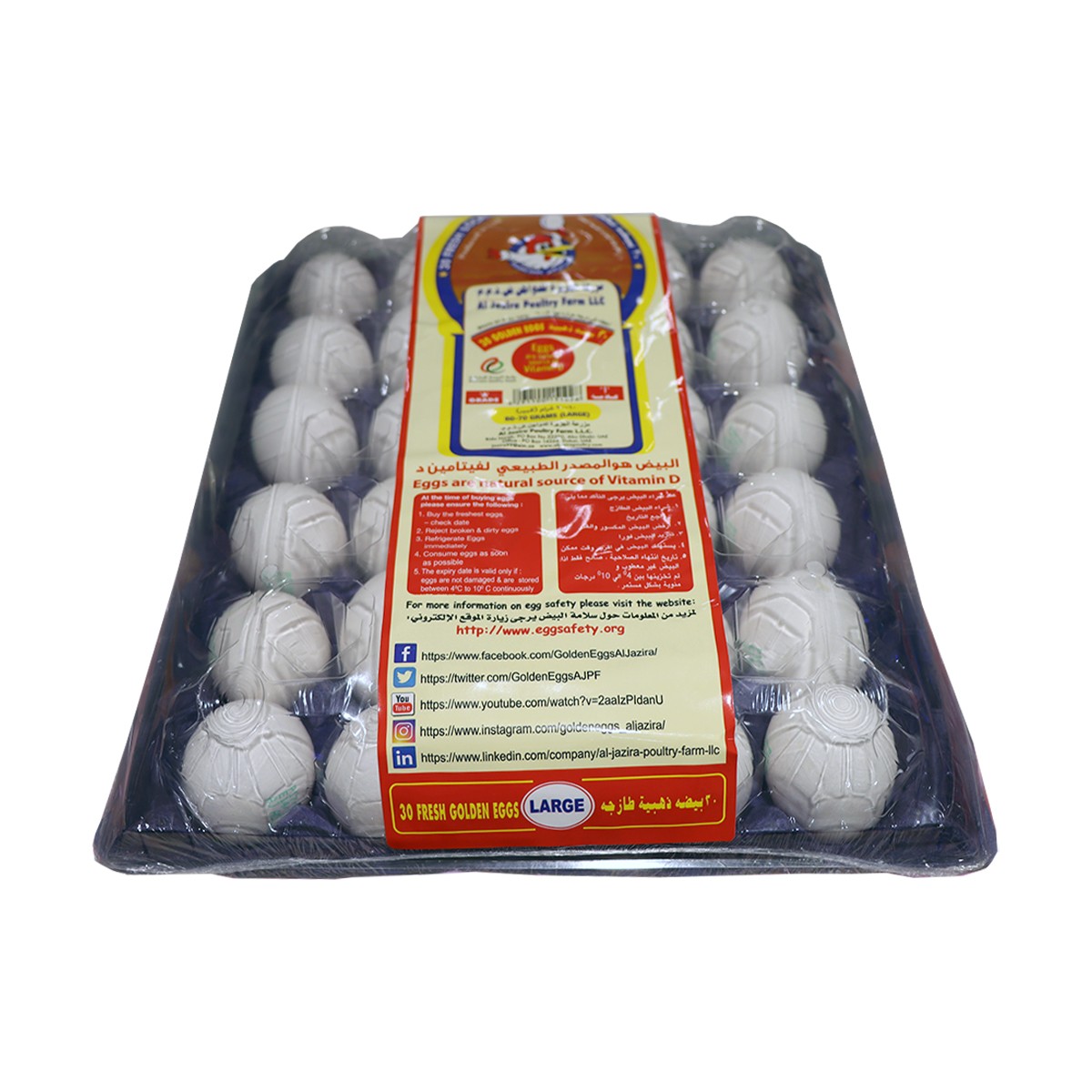 Egg Larg Tray 30S
