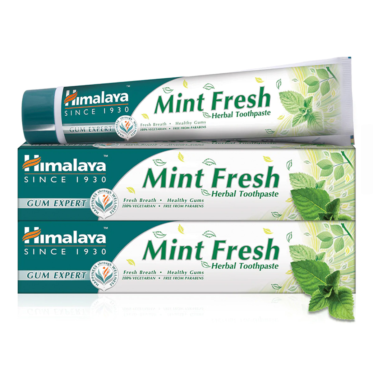 Himalaya Herbals Gum Expert Mint Fresh Herbal Toothpaste 2x100ml