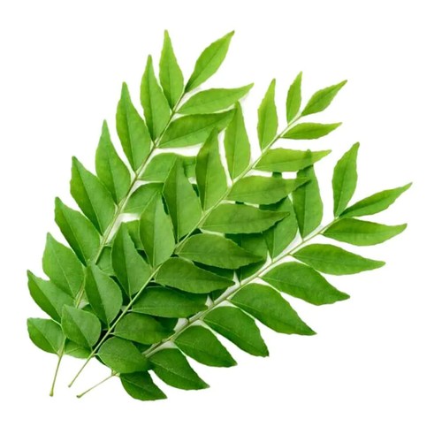 Curry Leaves 1Kg
