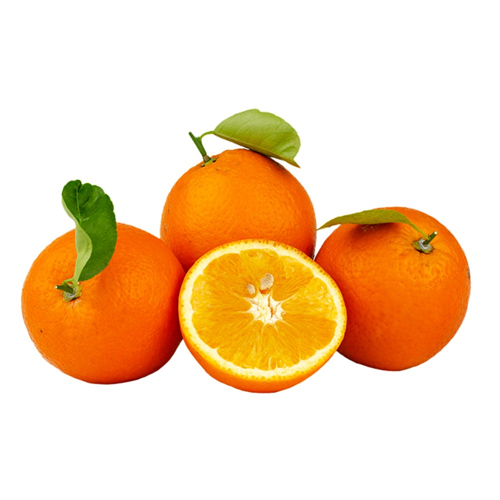 Baby Orange Chaina Pack