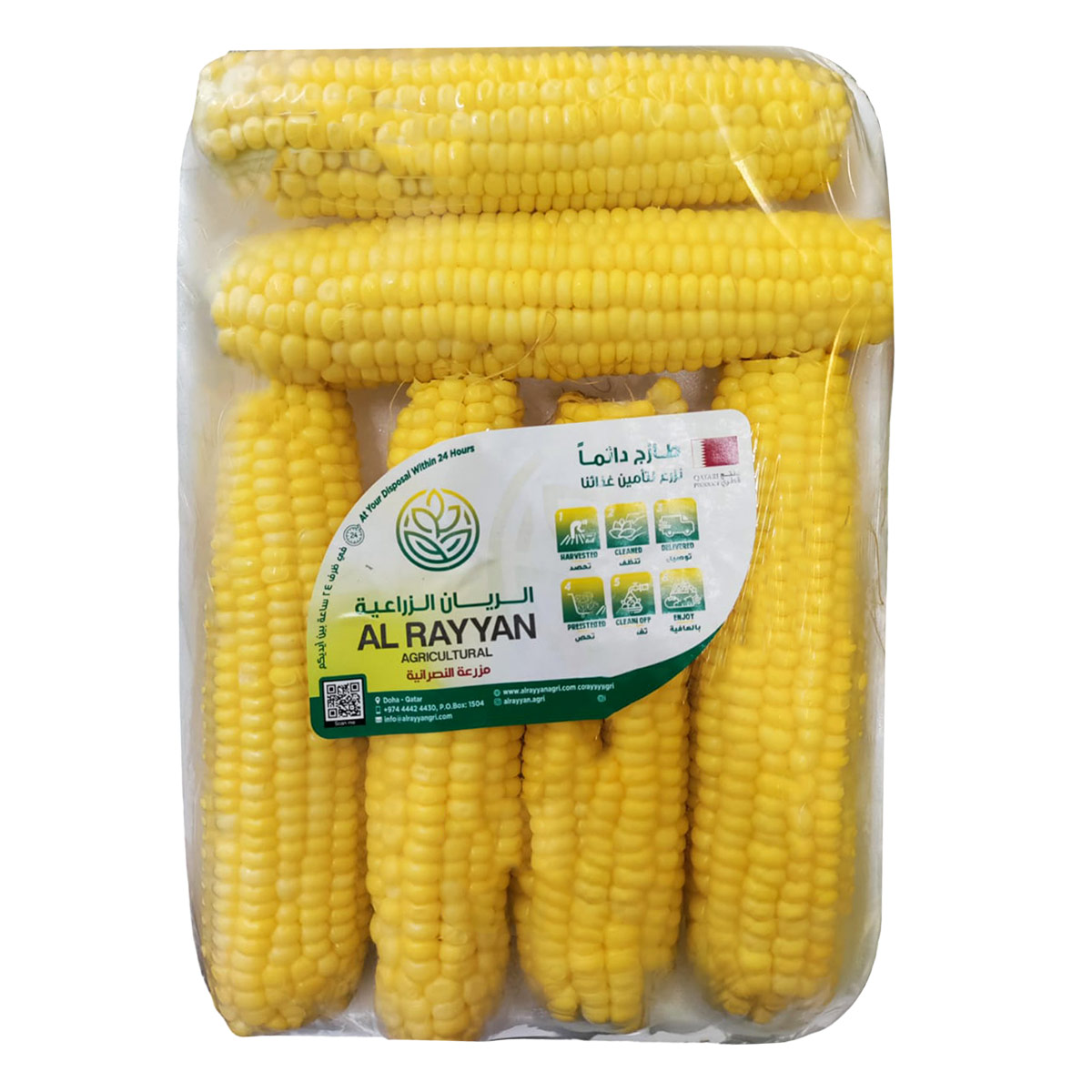 Sweet Corn Pack