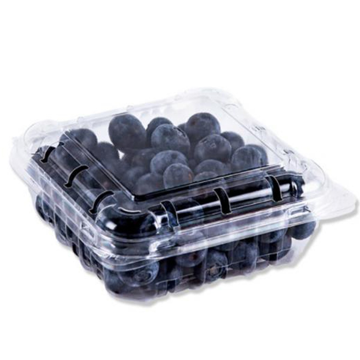 Blueberry Small Pc/Pcs