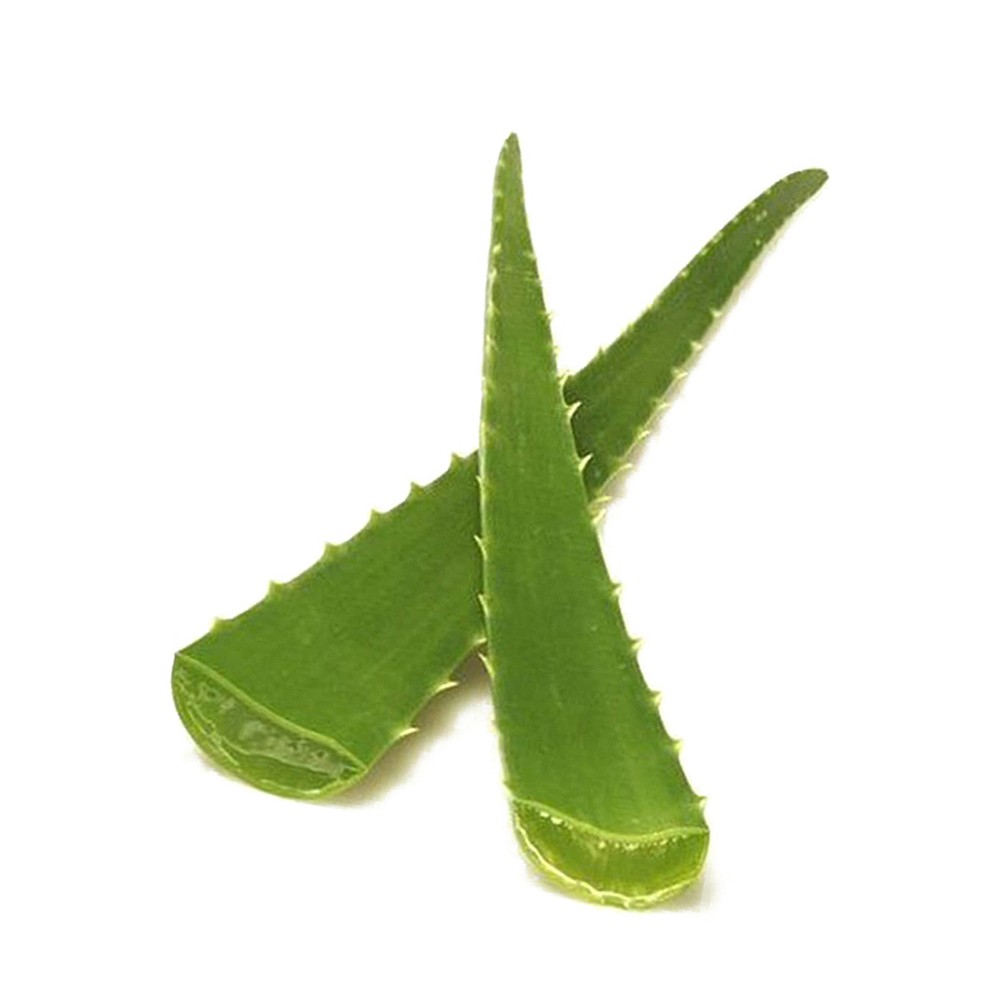 Fresh Aloe Vera 1Kg