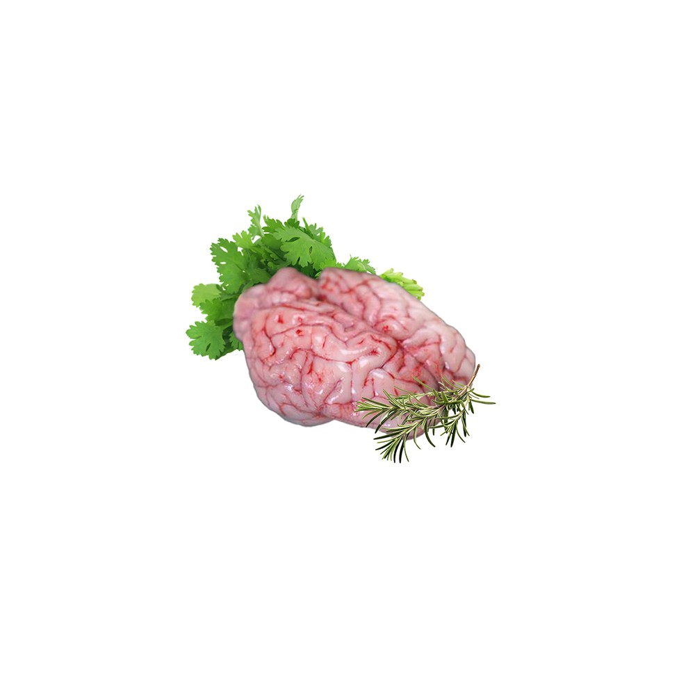 Fresh Lamb Brain
