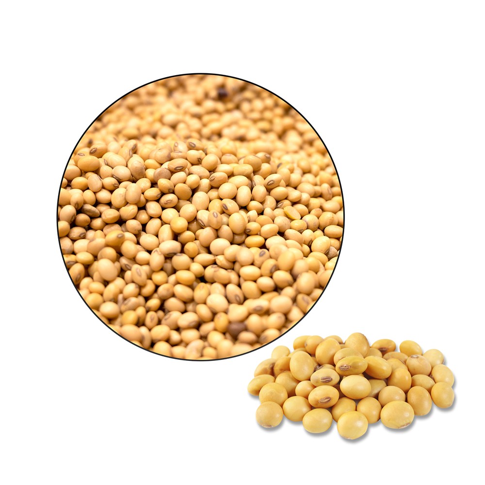 Soya Beans-Lentils