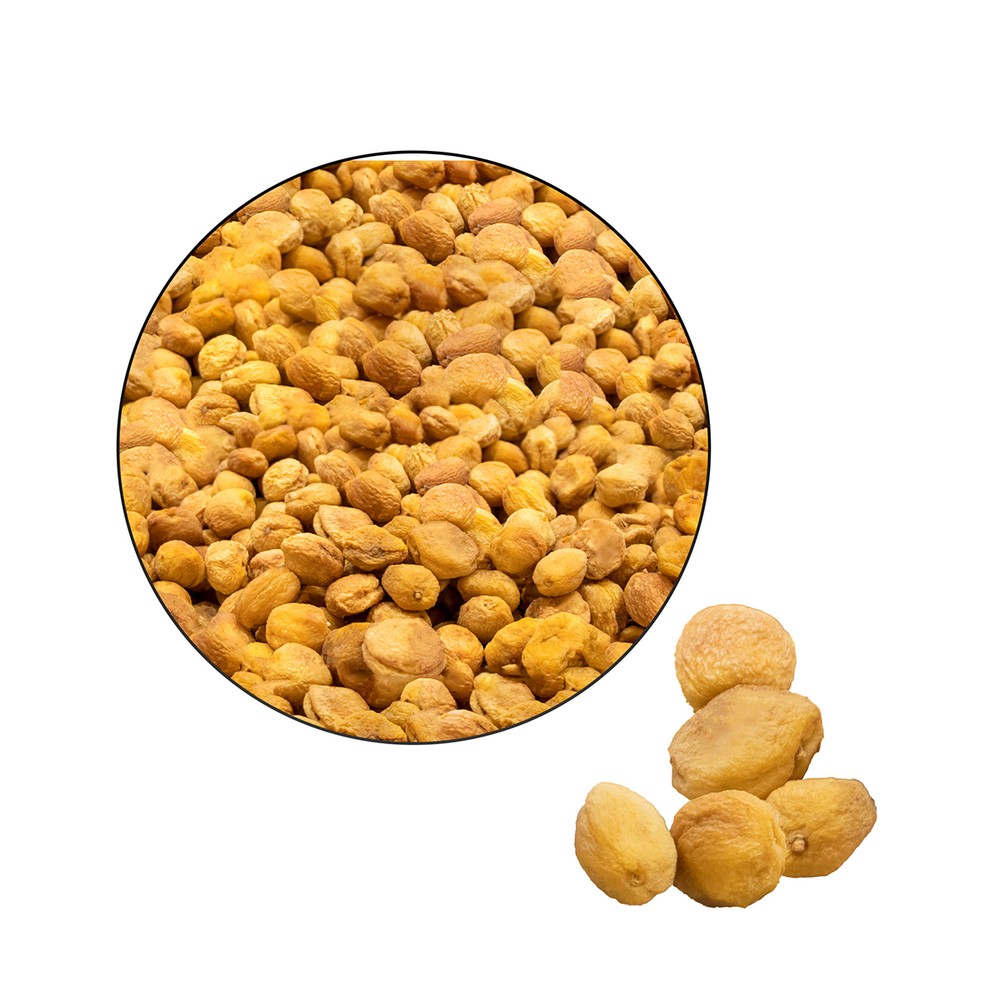 Ghorbani-Fruits