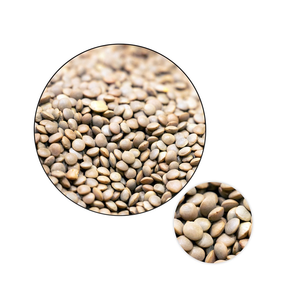 Masoor Whole Red-Lentils |1Kg