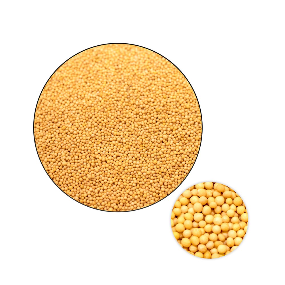 Mustard Seed India-Lentils