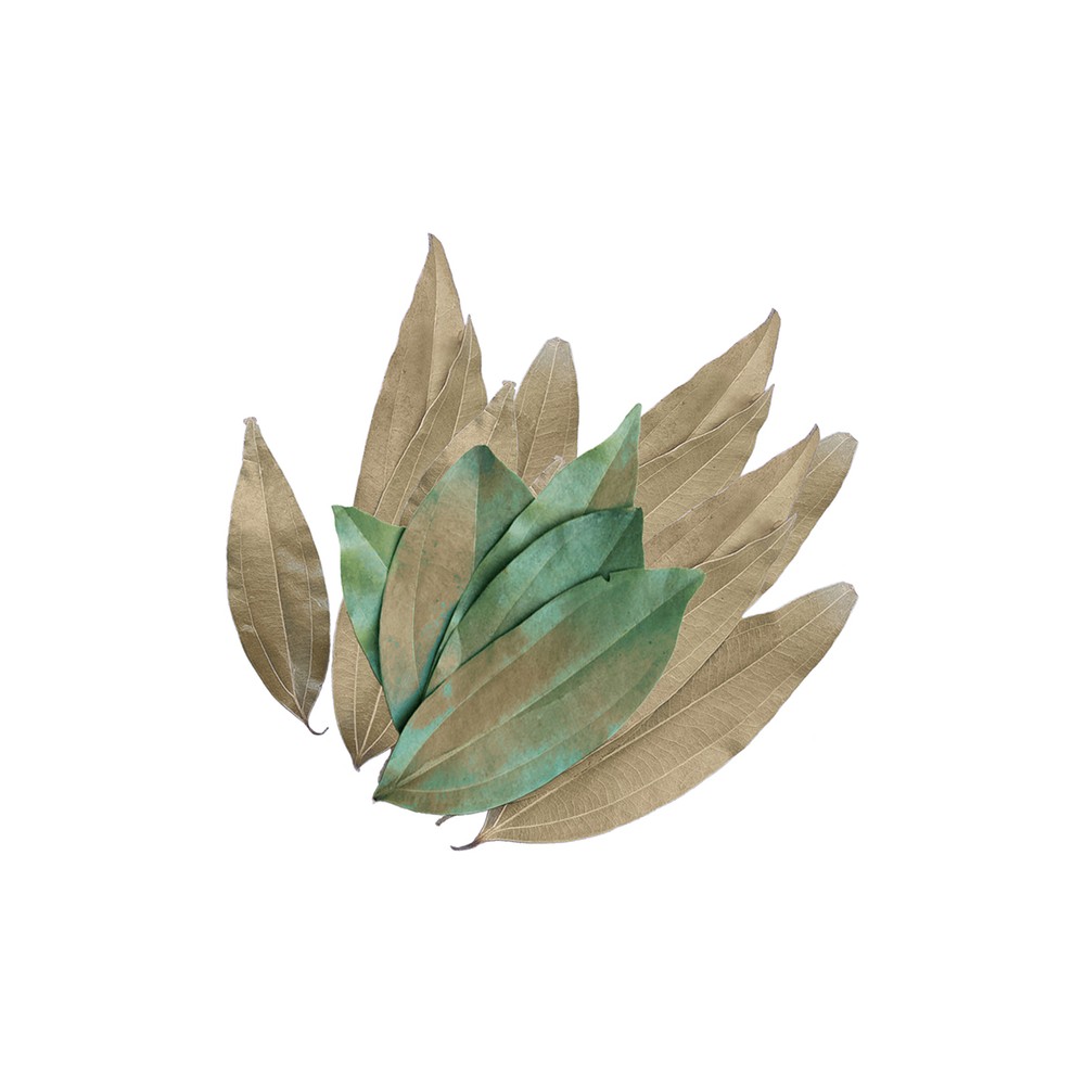 Bay Leaves-Powder Spices