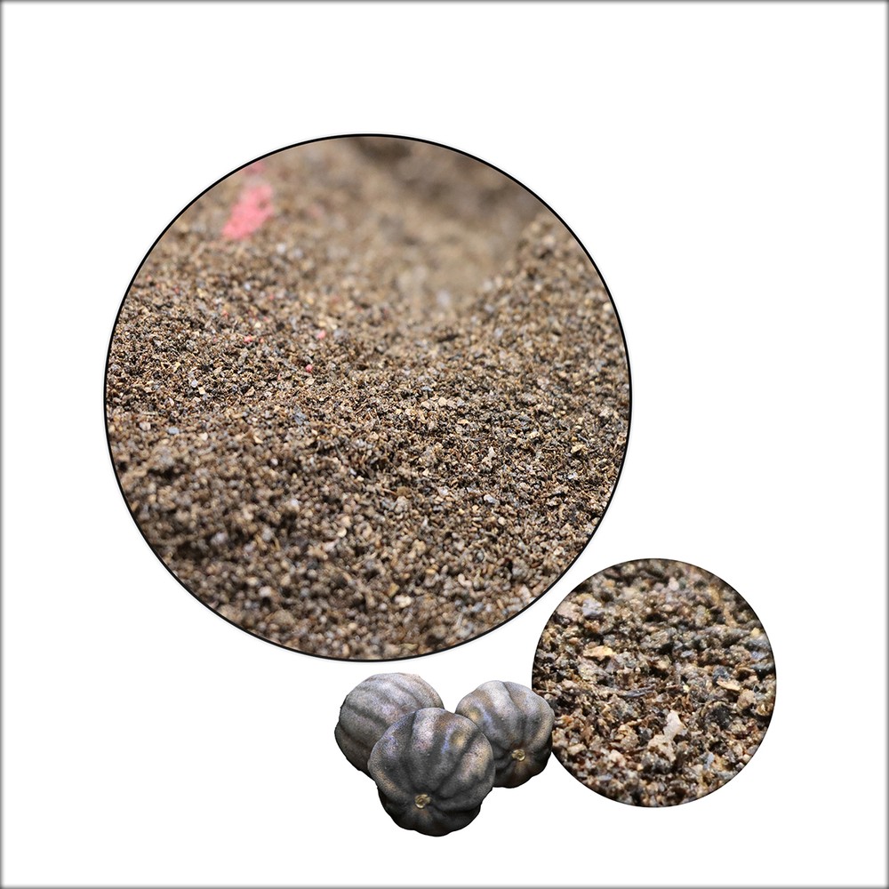 Lemon Powder-Powder Spices