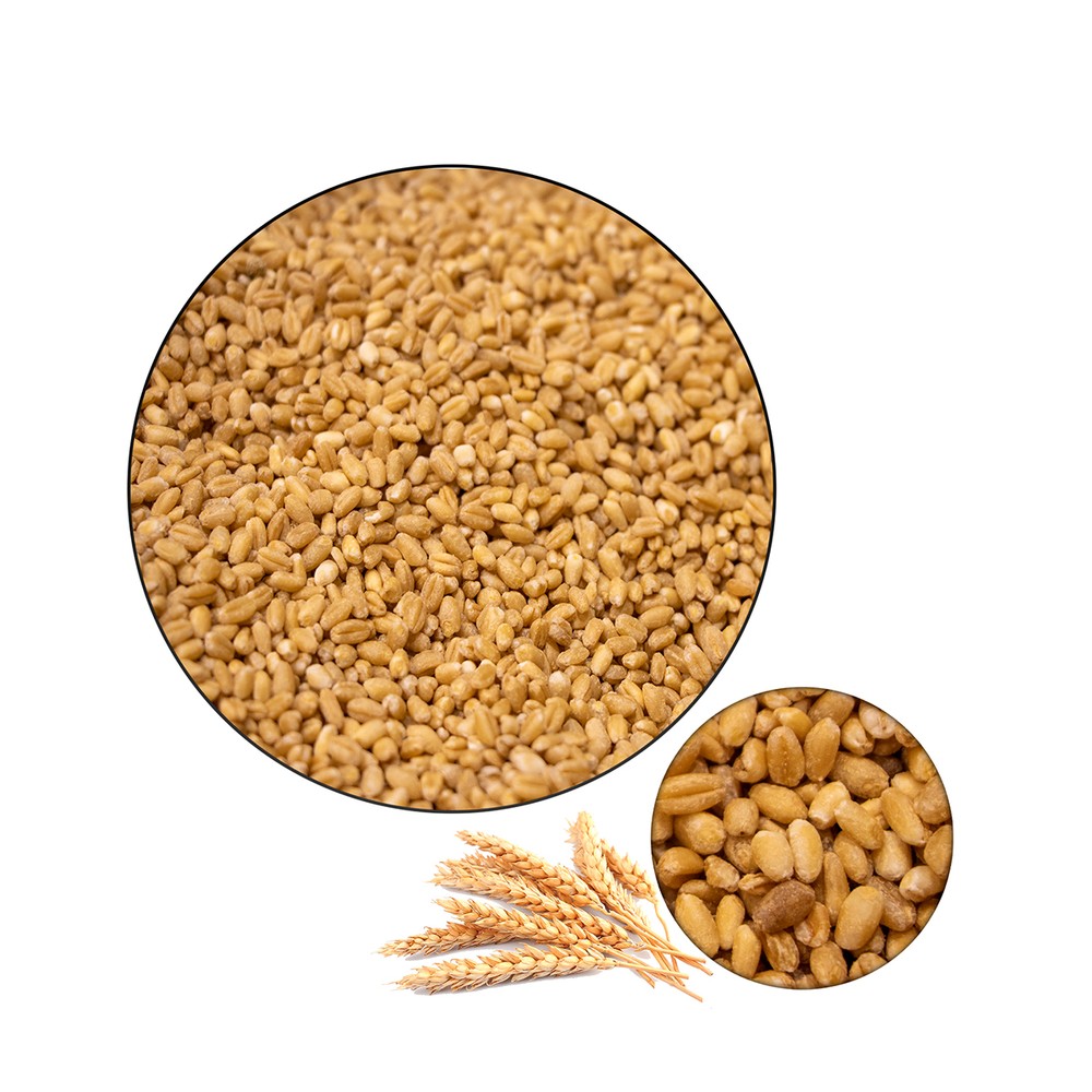 Hab Haris-Grains