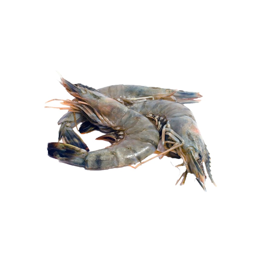 Shrimps Jumbo