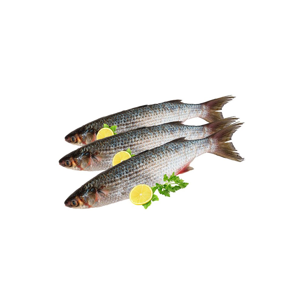 Buri Fish Big |1Kg