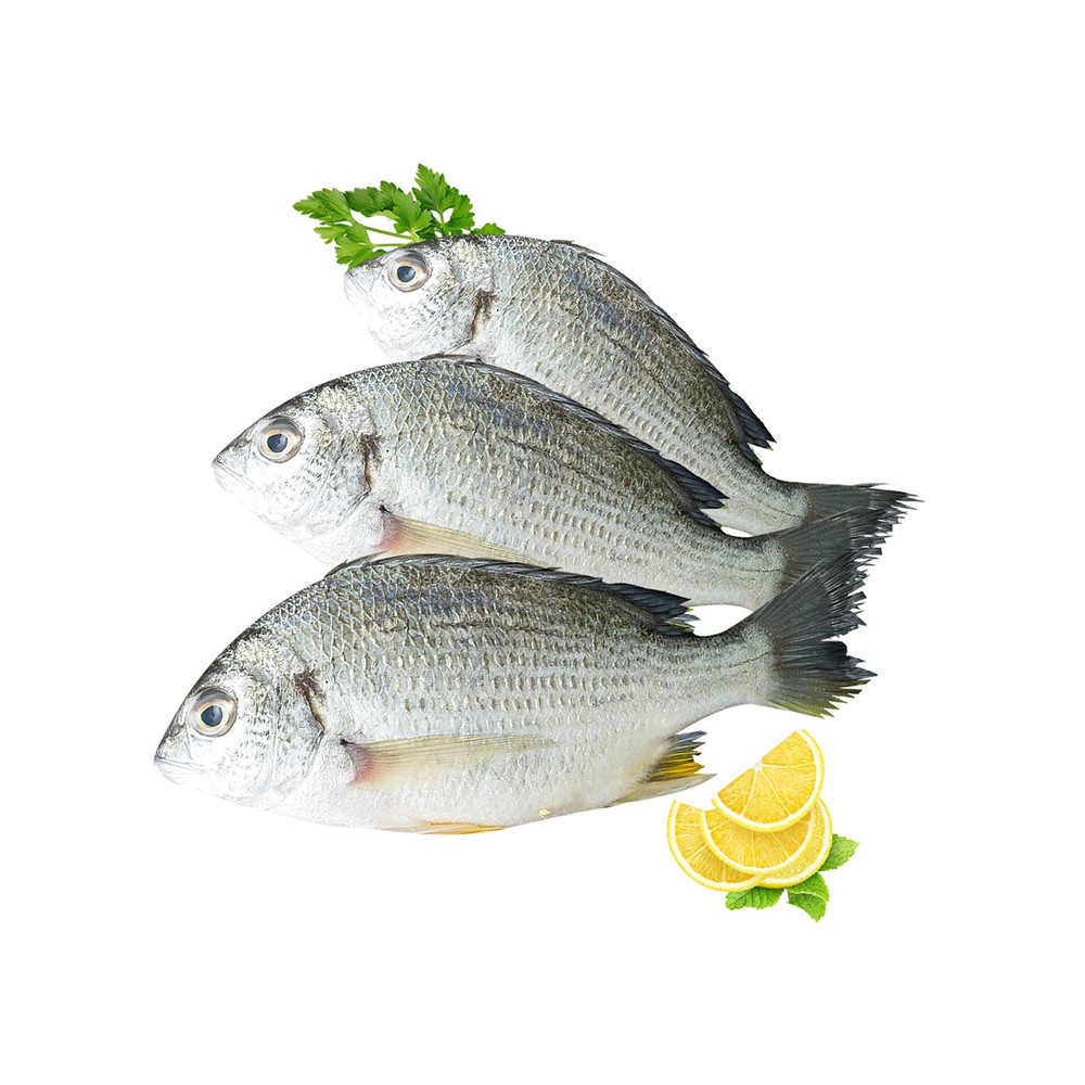 Nagror Fish 1Kg