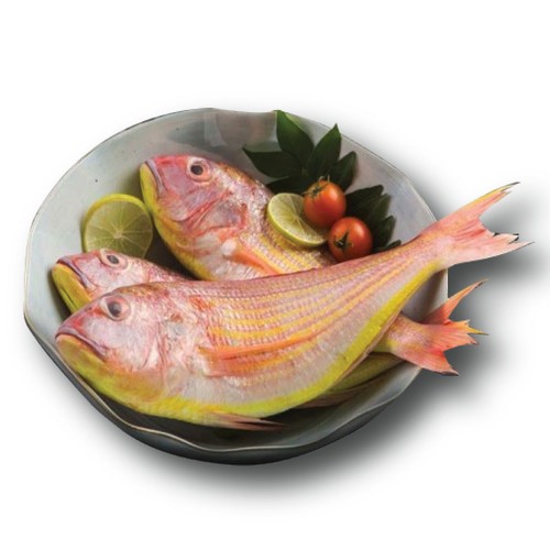Sultan Ibrahim Big |1Kg