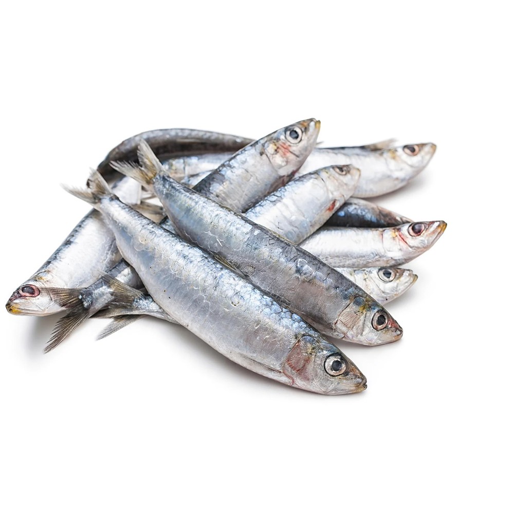 Sardine Small - 1Kg