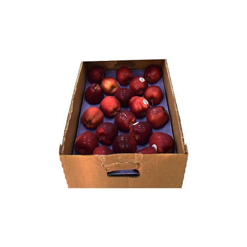 Apple Red Small | 1Box